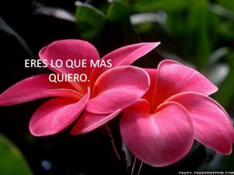 Joan Sebastian  Eres lo que mas quiero