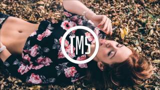 Viceroy feat. k.flay - Back At The Start