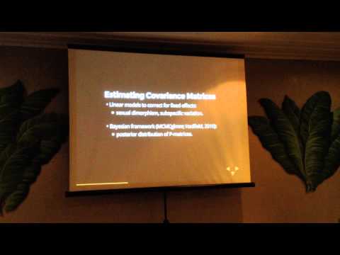 Gomes Garcia : A phylogenetic Analysis of Covariance Structure in the Skull of Anthropoid Primates