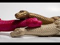 Taipan - Small Size SinSaint Silicone Toy