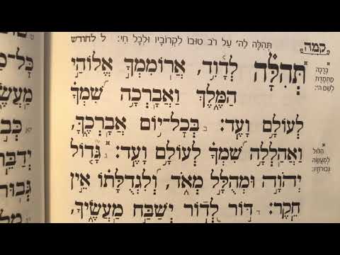 Tehillim psalm 145 תהלים קמה