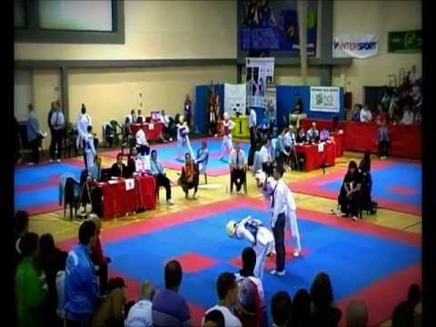 Taekwondo Gimnasio Parque Henares- Javier Pérez Polo (SPAIN OPEN 2013) JUNIOR 1st video