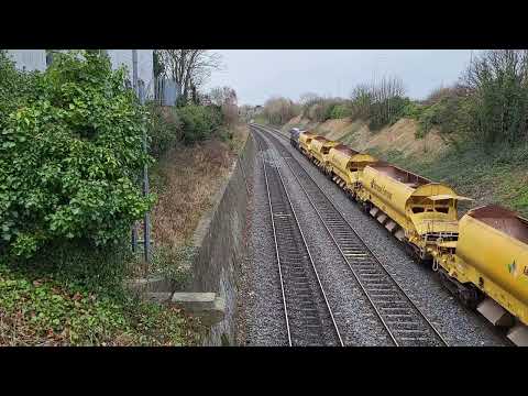 071 + 072 Top & Tailed Hobs at the Gullet 01/02/23