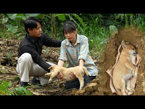 The Tragedy Involving Tu Son’s Puppy Made Her Cry a Lot – What Will the Kind CEO Do?