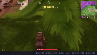 【フォートナイト】ちょっとやる
