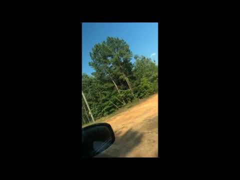 Spoken Word Poetry - "Father's Day" by Katherine Dixon