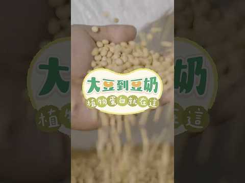 大豆到豆奶 植物蛋白就在這-黃豆保存