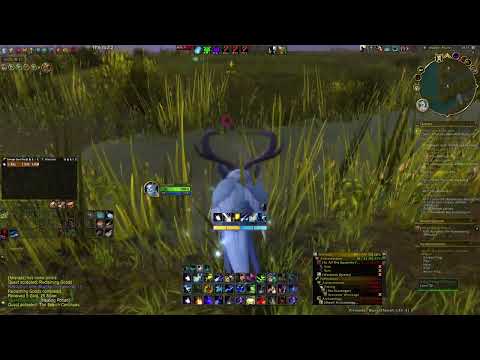 The Search Continues - Quest - World of Warcraft 10.2.7