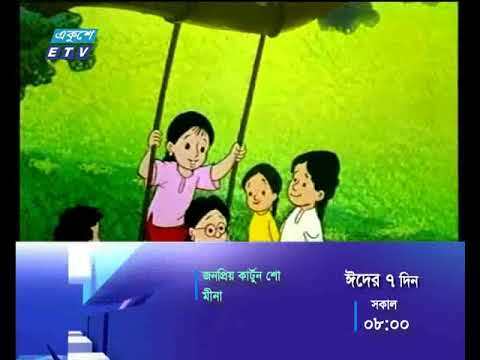 মীনা কার্টুন