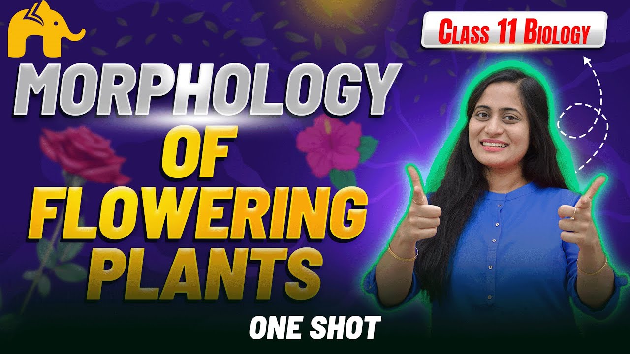 Morphology of Flowering Plants Class 11 Biology | NCERT Chapter 5 CBSE NEET | One shot Full Chapter