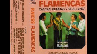 Raices Flamencas - Esta llorando