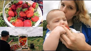 Brooks Farm 🍓 Strawberry Fields family VLOG | Baker, Florida