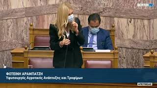 ΥφΑΑΤ Φωτεινή Αραμπατζή: Ομιλία για την υλοποίηση της ψηφιακής πλατφόρμας easy_agro_expo (02.12.20)