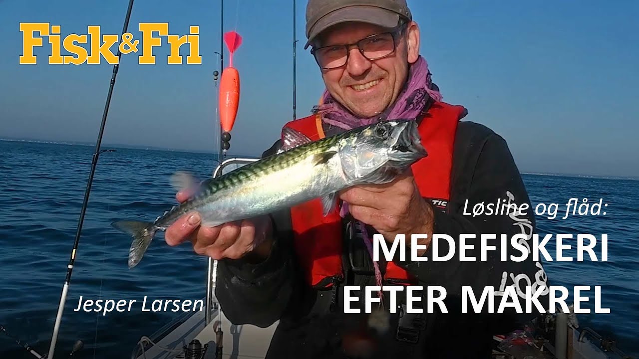NY VIDEO: MEDEFISKERI EFTER MAKREL MED LØSLINE OG FLÅD