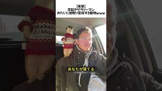 【衝撃】早起きサラリーマンみたいに居眠り警戒する動物ｗｗｗ#ミーアキャット #動物 #癒し #おもしろ動物 #雑学 #バズ動画 #ずんだもん