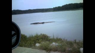 I&#39;d Rather Be Surfing