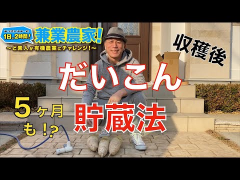 大根の保存方法:こうすれば長持ちします 庭の練習