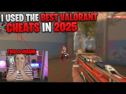 I Used The Best Valorant Cheat In 2025... (It Was Insane)