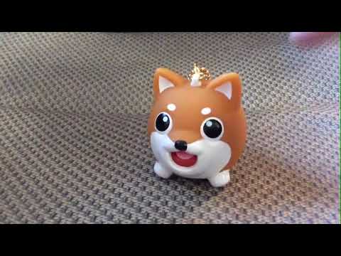 no thoughts, just shiba jabber ball