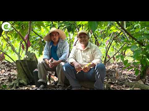 ENTREVISTA EN VINCES