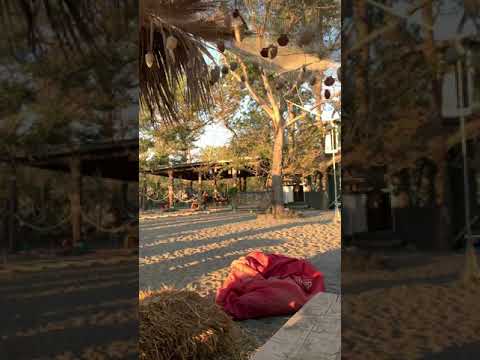 Endrit Xërxa - O moj e bukura Arbëri