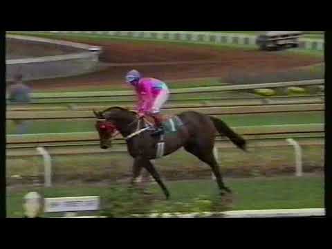 1993 Carlyon Cup - Veandercross