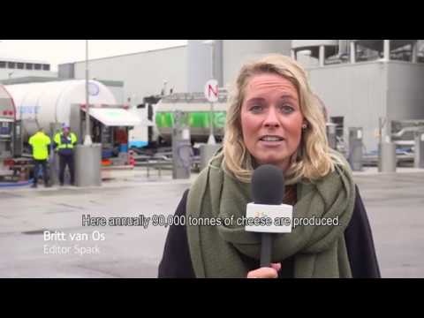 A look at the Cheese makers in Bedum