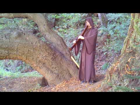 2.8 Taimu shakuhachi (giant Zen bamboo flute) improvisation at Ancient Oak by Cornelius Boots