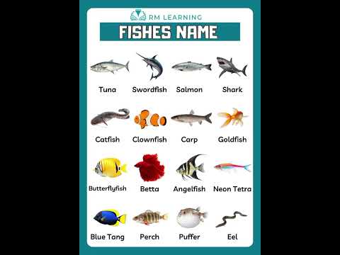 Types of Fish Vocabulary in English #learnenglish #englishvocabulary