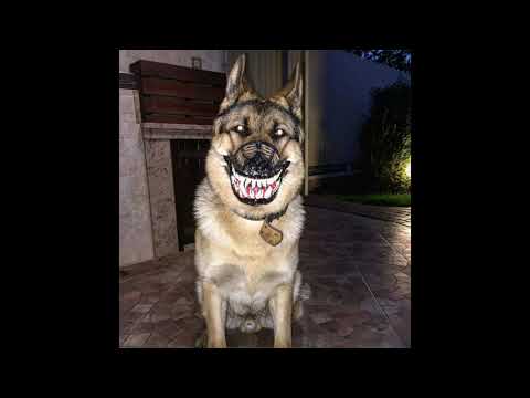 [FREE] UK Drill Type Beat - "Bark" Instrumental Freestyle (prod. Gtx666Ti)