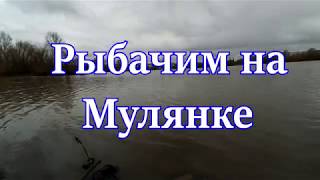 Рыбалка в перми на мулянке