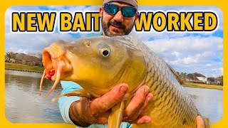 STOP Fishing The Same PONDS! New Bait Changed Everything!