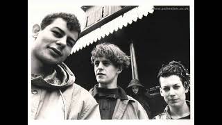 pale saints  true coming dream live