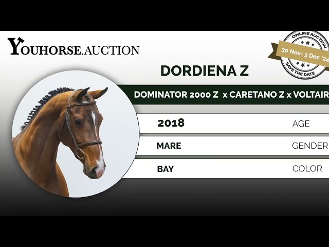 Dordiena trainingsvideo