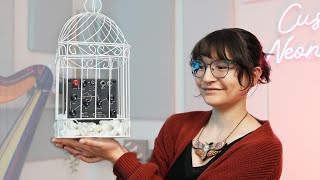 Video thumbnail for I have to keep this pedal in a cage. Here’s why by Emily Hopkins