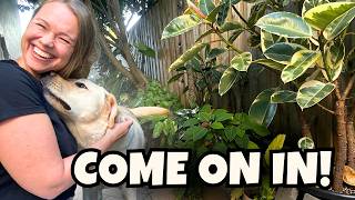 My Backyard Houseplant Tour! | Garden Path Edition