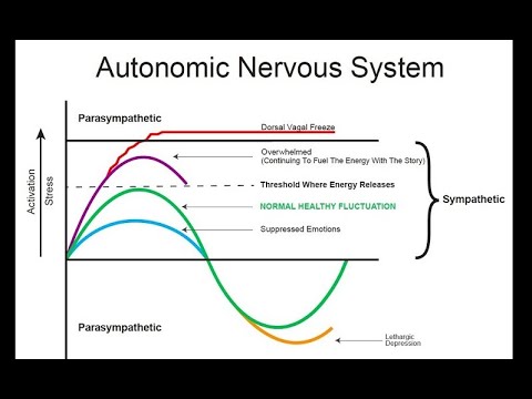 How Trauma Affects Our Nervous System (Somatic Experiencing) Video