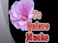Lorenzo de Monteclaro  Mucho Te Quiero