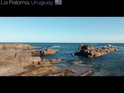 La Zimbabwe ★ Verano Del 57 (con letra)