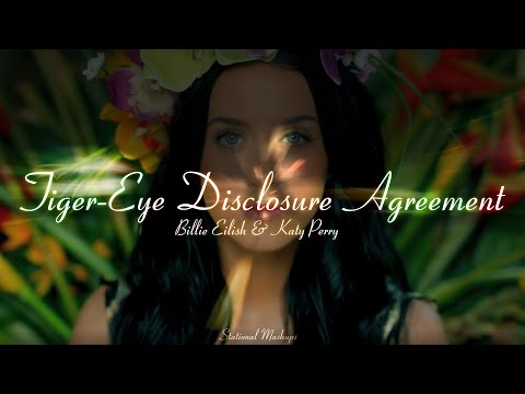"Tiger-Eye Disclosure Agreement [TEDA]" (MASHUP) Billie Eilish & Katy Perry