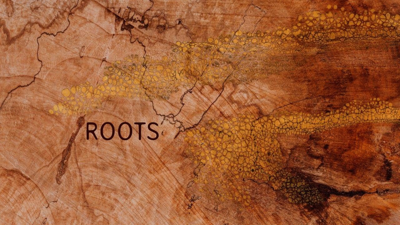 ROOTS Collection