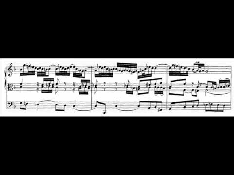 J.S. Bach - BWV 659 - Nun komm der Heiden Heiland