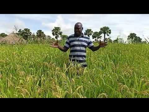 Testimony About God's Work and Blessings