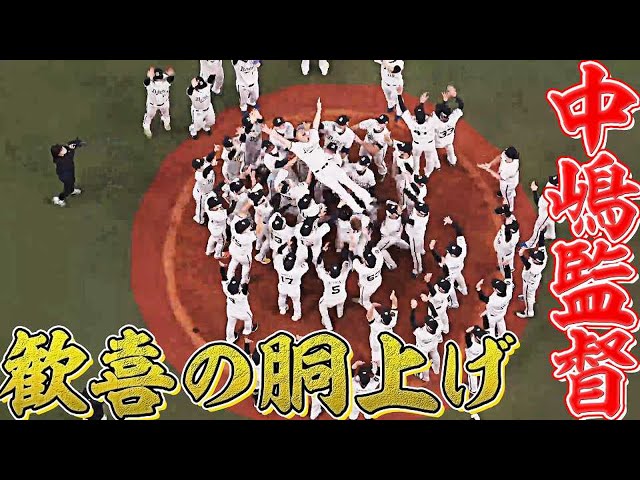 【25年ぶりV】バファローズ・中嶋聡監督【歓喜の胴上げ】