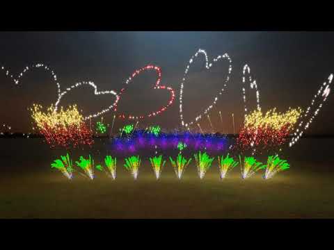 Fuochi D'Artificio Con FWsim #5