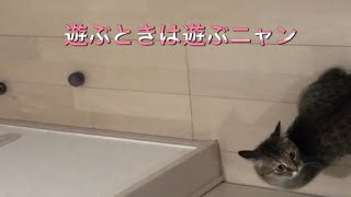 意外とボール好きかも😄 I also like balls