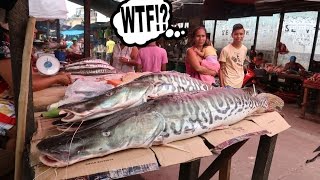 PERUVIAN AMAZON DAY 13; THE MOST EXOTIC MARKET IN THE WORLD! - Dāv Kaufman Vlogs