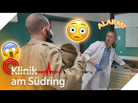 "Ein p*rverses Schwein!" 🤬 Lauert ein Exhibitionist im Krankenhaus? | Klinik am Südring | SAT.1