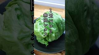 包丁いらず！10分で作れる究極の無限レタス #Shorts