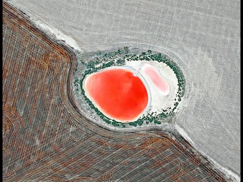 Открытие выставки победителей Московского международного фотоконкурса MIFA – 2020